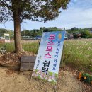 진산면 방축삼거리(좌) | 대둔산 집라인, 1km가 훌쩍 넘는 스릴만점 대둔산 스피드 집라인