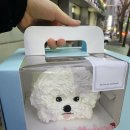 위시어폰어케이크 주문 후기 오금역 케이크