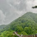 지리산예치출렁다리펜션 이미지