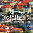 체코 프라하 주재원 해외이사ㅣ한국 체코 가전가구 이사화물 포장운송