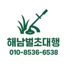 진도벌초대행