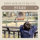 백일홍동산 | 전주 아이랑 가볼만한 곳 동물원과 놀이공원을 한번에 즐기는 전주동물원 주차 입장료 유모차대여