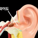 연세수이비인후과의원 이미지