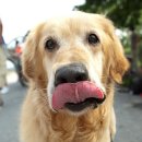 아롬나옴 이미지