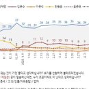 이재명 51%·김문수 29%·이준석 8%[한국갤럽]﻿ 이미지