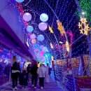 제8회 세계크리스마스문화축제 이미지