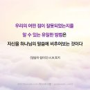 처음보다 더 이미지