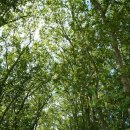 하가민박 이미지