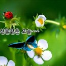 따뜻한말한마디