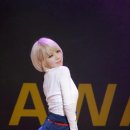 공지로2 이미지