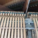 봉곡동121 이미지