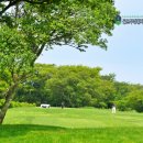 좋은 | 제주 라온cc 예약 요즘 잔디좋은 골프장 후기