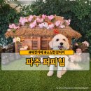 퍼피랜드애견카페 | 파주 퍼피힐 애견카페 내돈내산 후기
