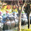 구일농장2 이미지