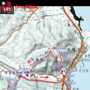 남산 정상 에서 이미지