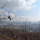 힐링(만인산) 이미지