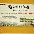 꾸꾸루꾸 이미지