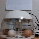 꼬꼬PC 네이버블로그