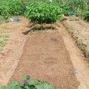 해순농장 이미지