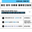 양지의류 이미지