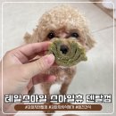 양치 싫어하는 강아지 덴탈껌 테일스마일 스마일츄 눈물,관절 케어까지 가능한 기능성덴탈껌