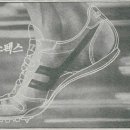 국제상사 이미지