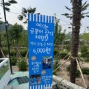 아이들과 함께 한 [수족관 데이트🐠 김해 GRAMI 카페 ] 내돈내산 후기