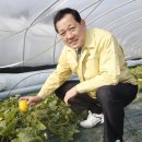 성주참외원예농협 이미지