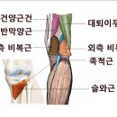 춘양삼성의원 이미지