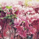 수채화 고급 이미지