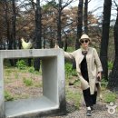 바우지움 조각 미술관 이미지