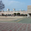 동포초 병설유치원 이미지