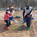 굿모닝농장 이미지