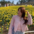 마인어스 | 프리티영띵 pyt 노카라 펄 트위드 자켓 내돈내산 후기