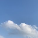 (주)콜센