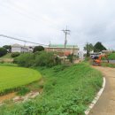 팔봉초등학교 이미지