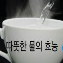 SG피트니스 이미지