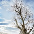 미암초등학교 이미지