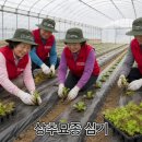 햇살담은농장