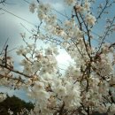 정다운마을 이미지