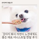 어니스트 동물병원 | 강아지 화식 자연식 노견에게도 좋은 재료 어니스트밀 한달 후기