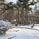 발산초등학교 이미지