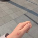 소공동주민센터 이미지