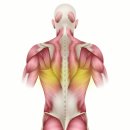 곤지암정형외과의원 이미지