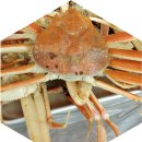 구룡포대게과메기해산물 | 포항 구룡포 과메기 포장 택배 맛집 꽁치 과메기 야채 세트(feat. 일본인가옥거리)