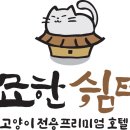 묘한쉼터 이미지