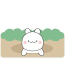 채채담