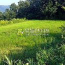 도화리농장 이미지