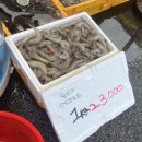 태안 몽산포수산시장 맛집 복길호수산 해산물 회포장 후기