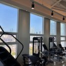 헤라클레스 피트니스 이미지